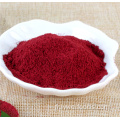 Poudre de betterave rouge déshydratée